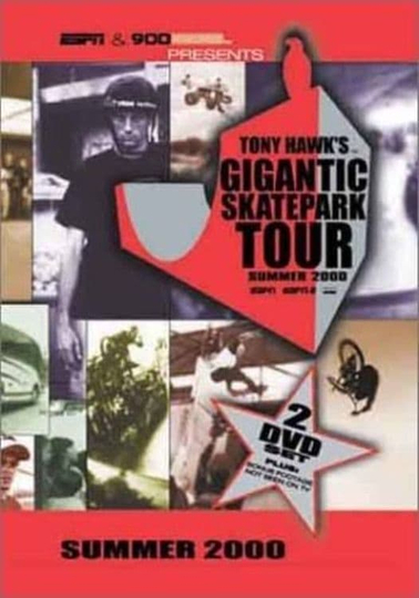 Tony Hawk's Gigantic Skatepark Tour 2000