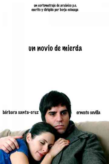 A Shitty Boyfriend Poster