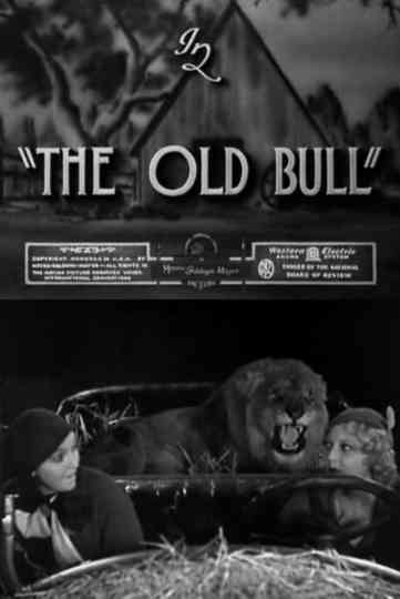 The Old Bull Poster