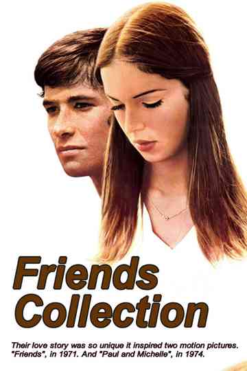 Friends Collection Poster