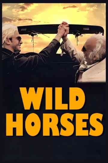 Caballos salvajes Poster