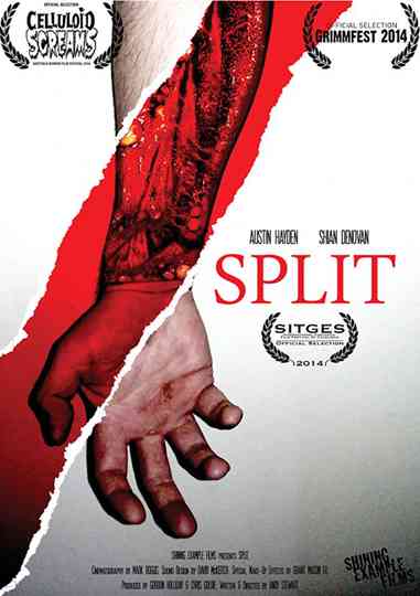 Split Poster