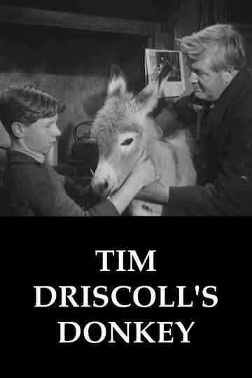 Tim Driscolls Donkey Poster