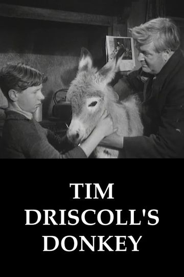 Tim Driscolls Donkey