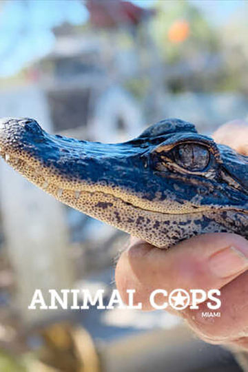 Animal Cops: Miami