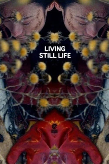 Living Still Life Poster