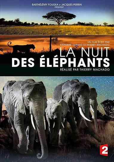 La Nuit des éléphants Poster