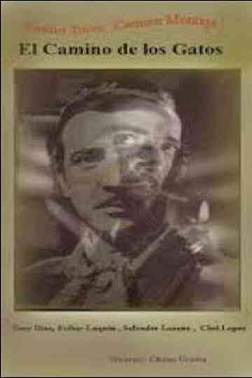 El camino de los gatos Poster