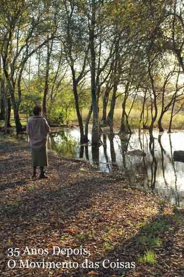 35 Anos Depois, O Movimento das Coisas Poster