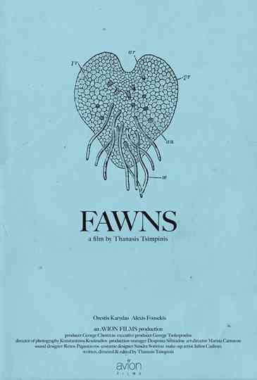Fawns poster