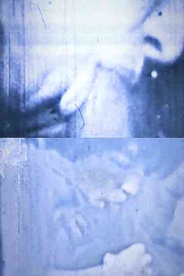 Transfer of Modulation Poster