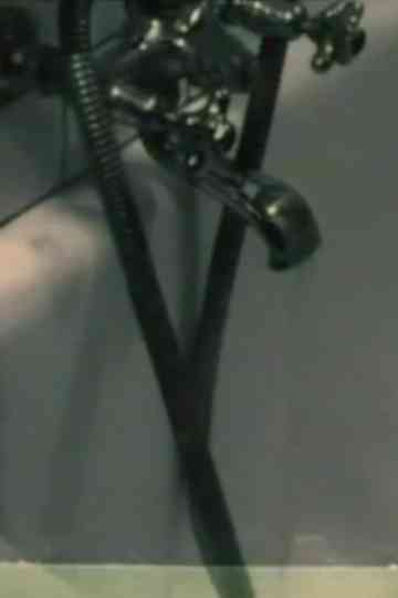 Man & Woman & Animal Poster