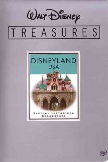 Walt Disney Treasures - Disneyland USA Poster