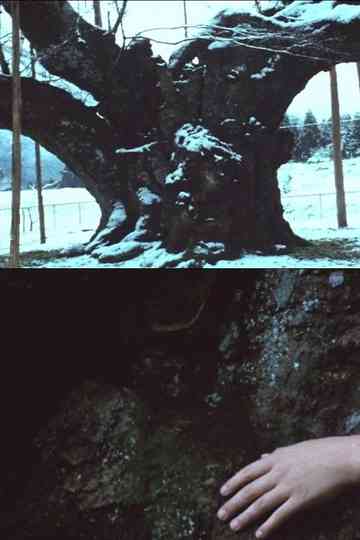 The Cherry Tree with Gray Blossoms Poster