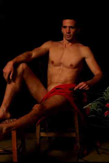 Diptych: The Love That Dare Not Speak Its Name Poster