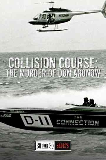 Collision Course: The Murder of Don Aronow Poster