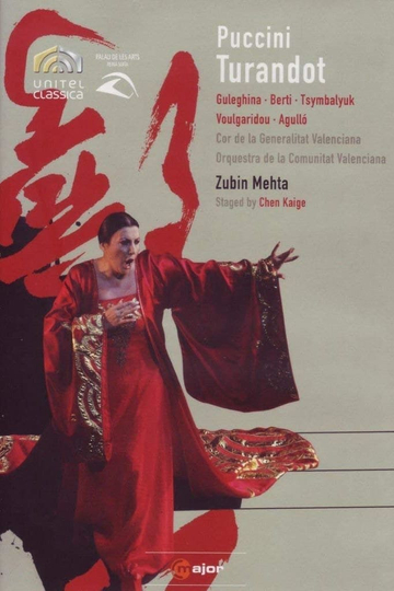 Turandot Palau de les Arts de Valencia Poster