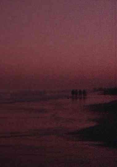 Through the Ruins Poster