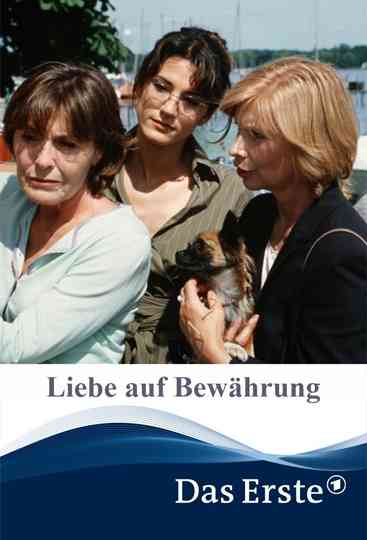 Liebe auf Bewährung Poster