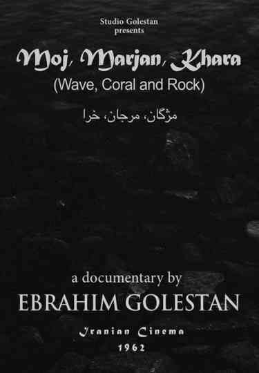 Wave, Coral and Rock Poster