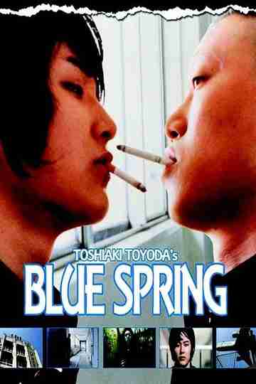 Blue Spring Poster
