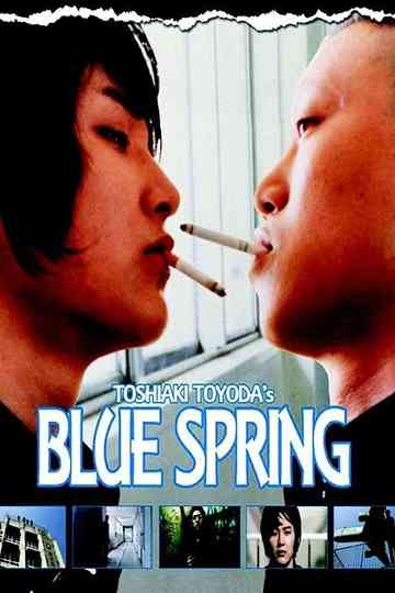 Blue Spring Poster