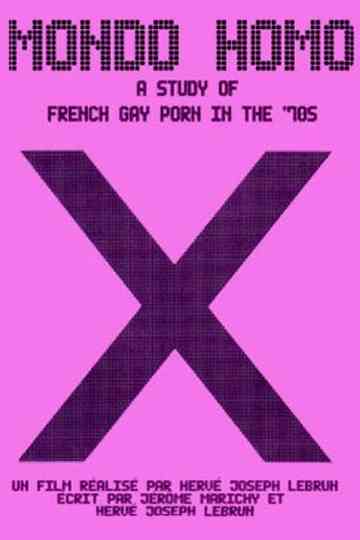 Mondo Homo Inquiry Into 70s Gay French Porn Poster