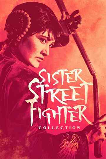 Sister Street Fighter Collection Poster