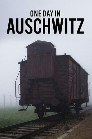 One Day in Auschwitz Poster