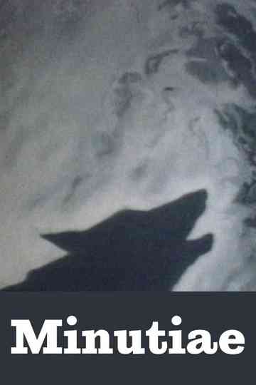 Minutiae Poster
