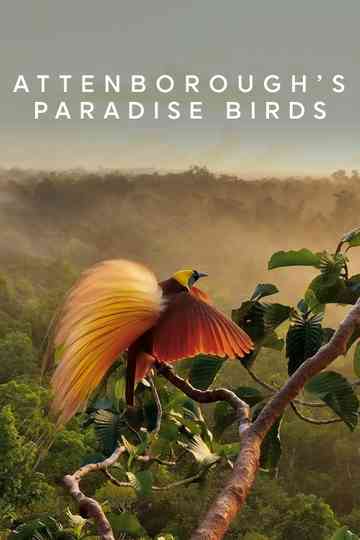 Attenborough's Paradise Birds Poster