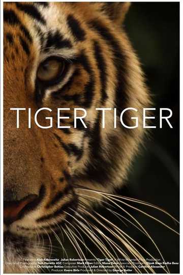 Tiger Tiger Poster