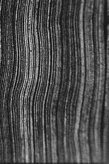 The Great Art of Knowing Poster