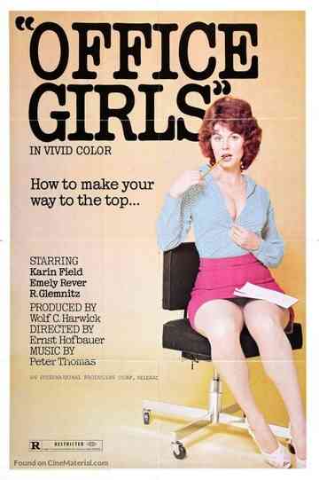 Sex in the Office Poster