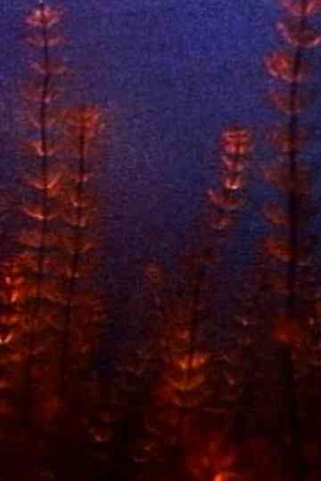 Pond and Waterfall poster