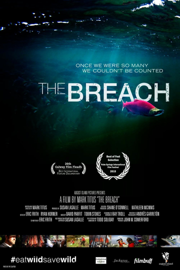 The Breach