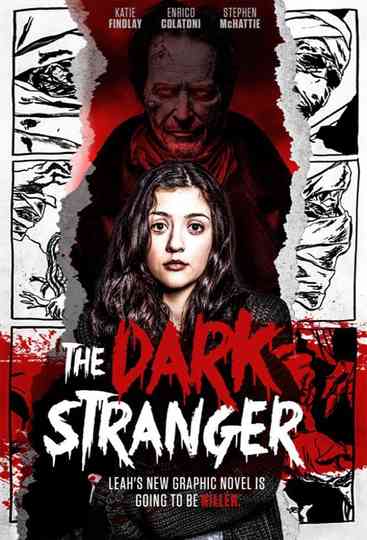 The Dark Stranger Poster