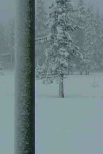 Crystal Palace Poster