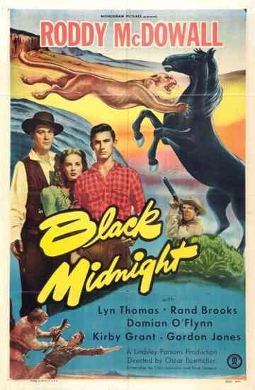 Black Midnight Poster