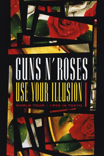 Guns N Roses Use Your Illusion I