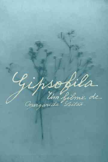 Gypsophila Poster