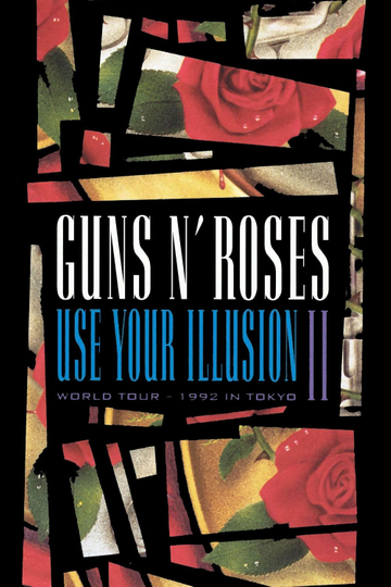 Guns N Roses Use Your Illusion II