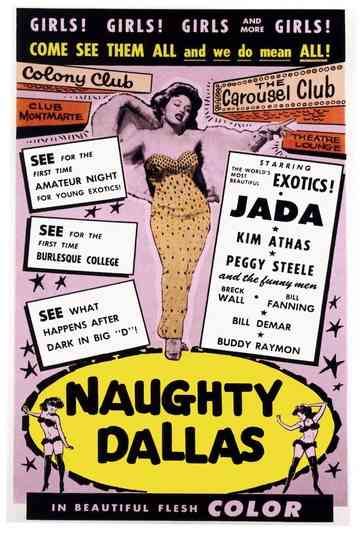 Naughty Dallas Poster