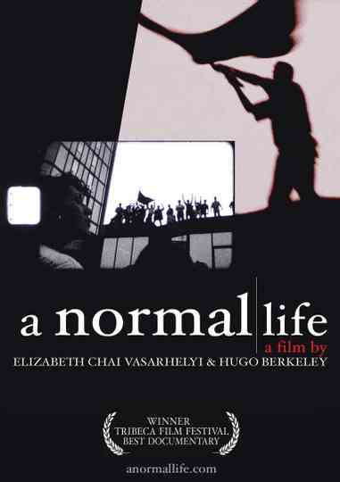 A Normal Life Poster