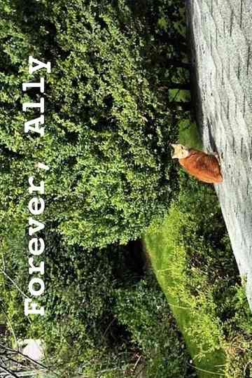 Forever, Ally Poster