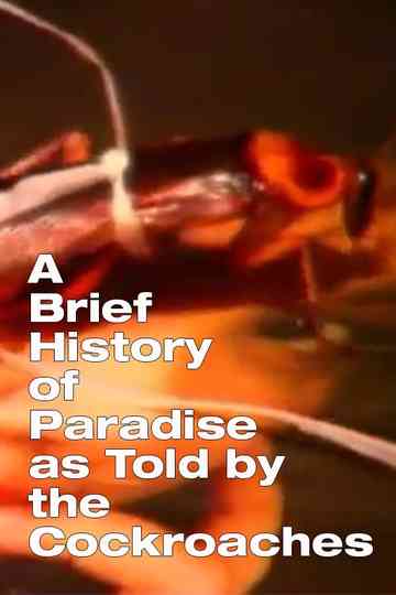 A Brief History of Paradise as Told by the Cockroaches Poster