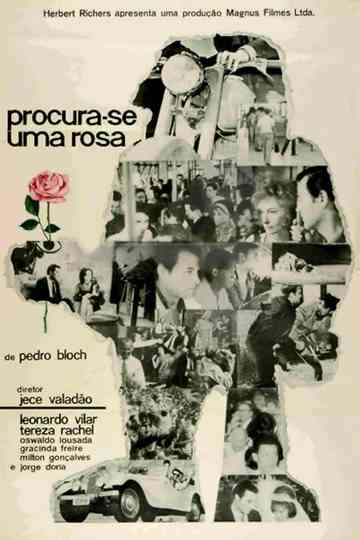 Procura-se Uma Rosa Poster