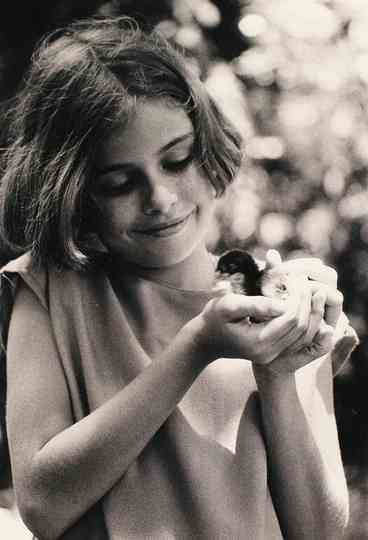 Clandestina Felicidade Poster