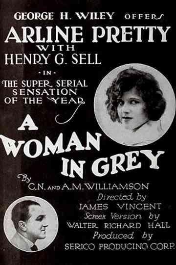 A Woman in Grey Poster