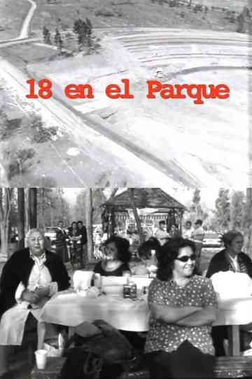 18 en el parque Poster